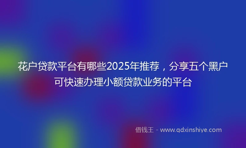 花户贷款平台有哪些2025年推荐，分享五个黑户可快速办理小额贷款业务的平台