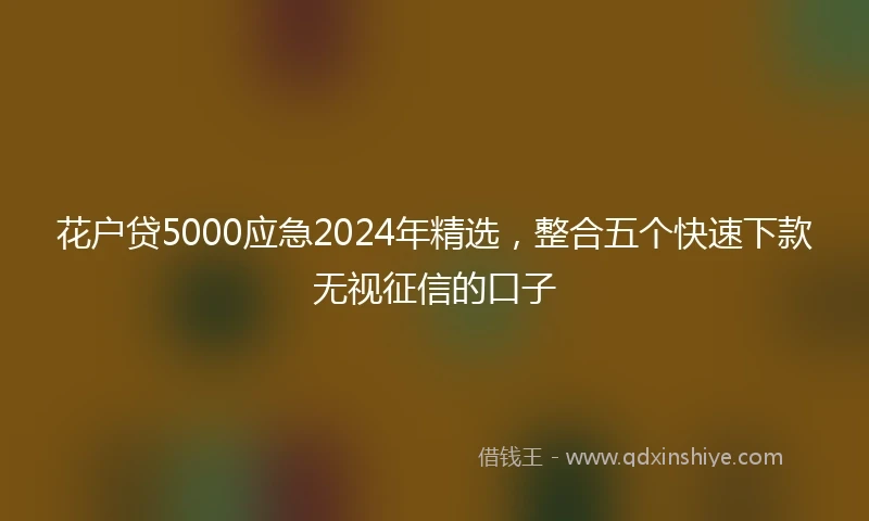 花户贷5000应急2024年精选，整合五个快速下款无视征信的口子