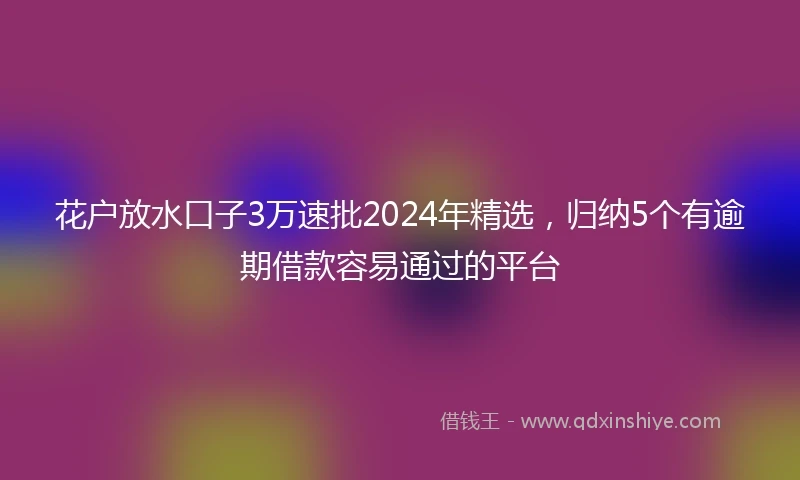 花户放水口子3万速批2024年精选，归纳5个有逾期借款容易通过的平台