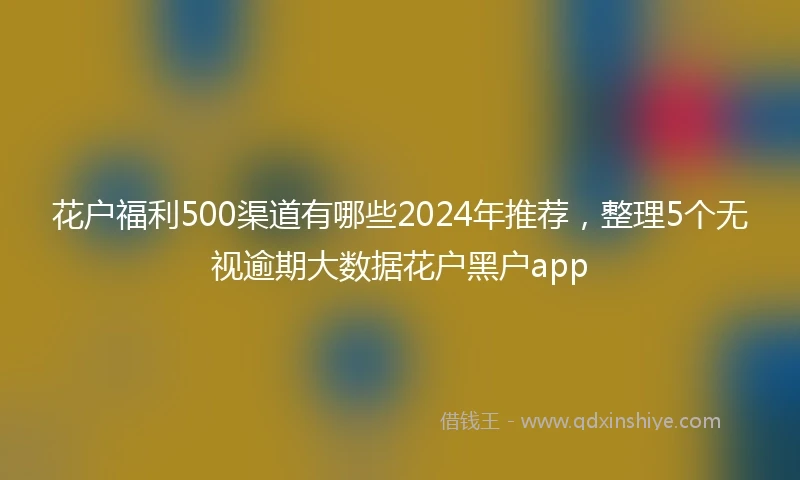 花户福利500渠道有哪些2024年推荐，整理5个无视逾期大数据花户黑户app