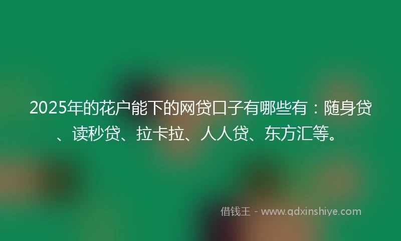 2025年的花户能下的网贷口子有哪些有：随身贷、读秒贷、拉卡拉、人人贷、东方汇等。