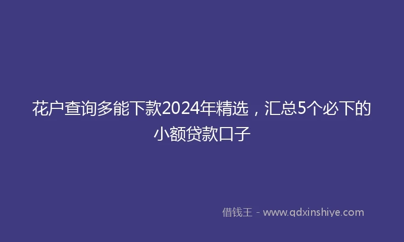 花户查询多能下款2024年精选，汇总5个必下的小额贷款口子