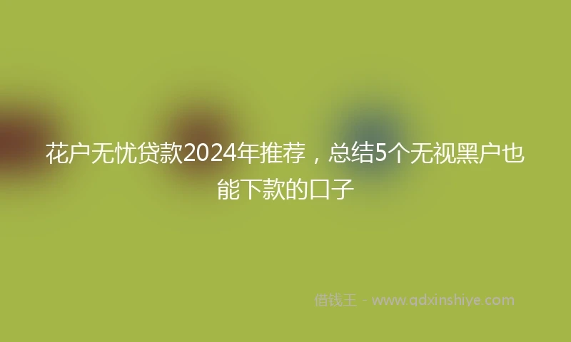 花户无忧贷款2024年推荐，总结5个无视黑户也能下款的口子