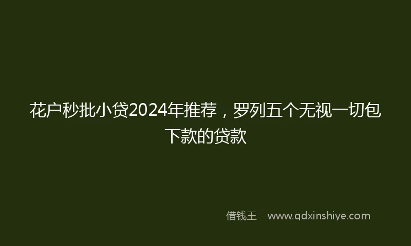 花户秒批小贷2024年推荐，罗列五个无视一切包下款的贷款