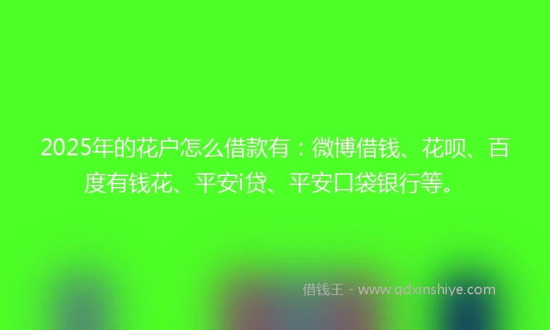 2025年的花户怎么借款有：微博借钱、花呗、百度有钱花、平安i贷、平安口袋银行等。