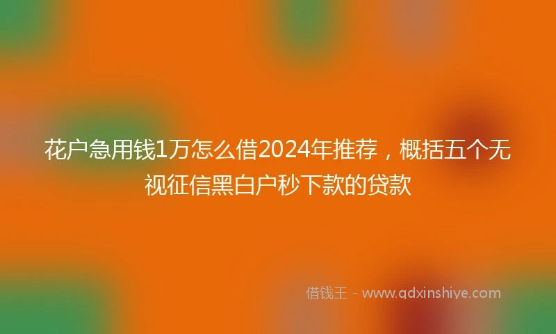 花户急用钱1万怎么借2024年推荐，概括五个无视征信黑白户秒下款的贷款