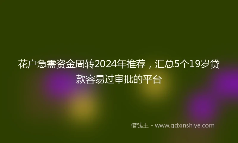 花户急需资金周转2024年推荐，汇总5个19岁贷款容易过审批的平台