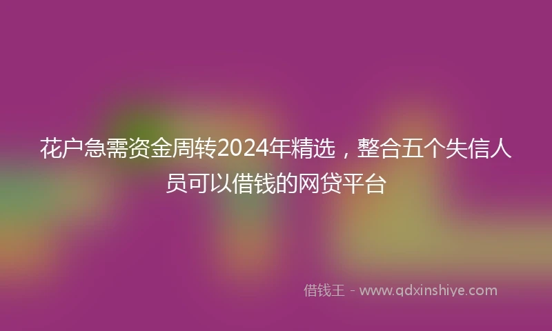花户急需资金周转2024年精选，整合五个失信人员可以借钱的网贷平台