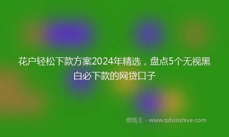 花户轻松下款方案2024年精选，盘点5个无视黑白必下款的网贷口子