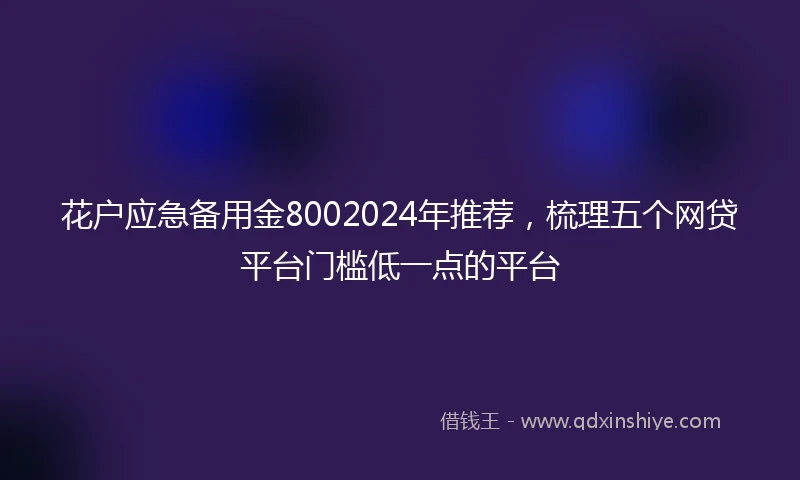 花户应急备用金8002024年推荐，梳理五个网贷平台门槛低一点的平台