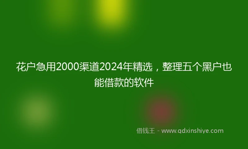 花户急用2000渠道2024年精选，整理五个黑户也能借款的软件