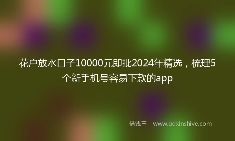 花户放水口子10000元即批2024年精选，梳理5个新手机号容易下款的app