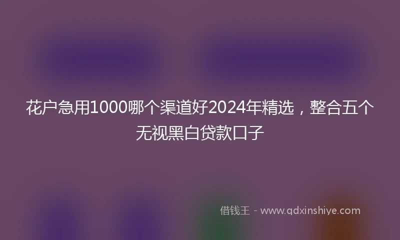 花户急用1000哪个渠道好2024年精选，整合五个无视黑白贷款口子