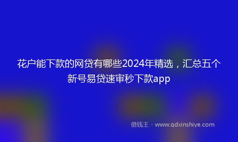 花户能下款的网贷有哪些2024年精选，汇总五个新号易贷速审秒下款app