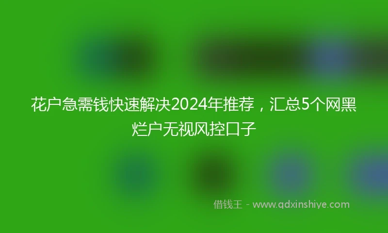花户急需钱快速解决2024年推荐，汇总5个网黑烂户无视风控口子