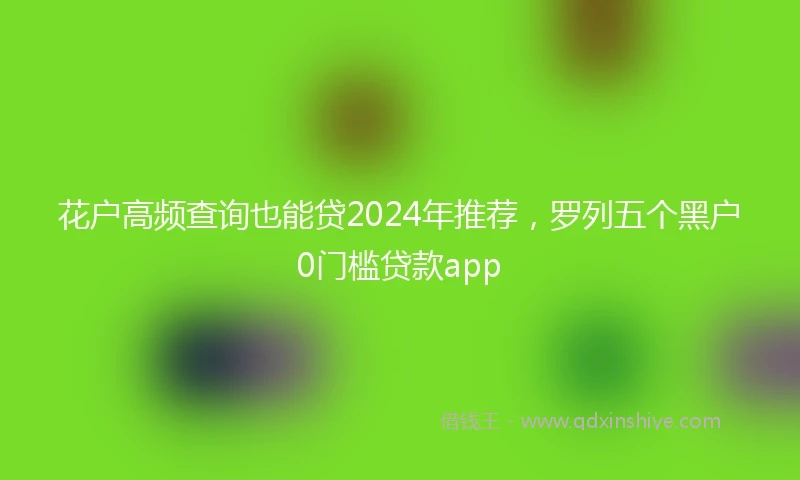 花户高频查询也能贷2024年推荐，罗列五个黑户0门槛贷款app