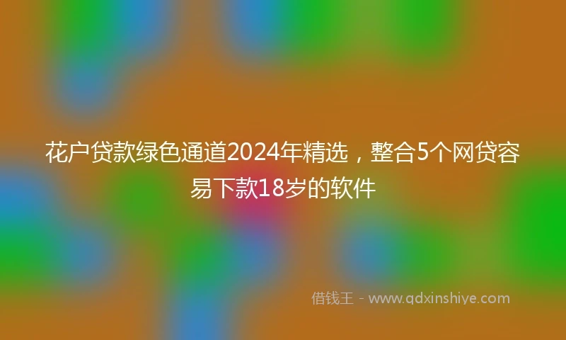 花户贷款绿色通道2024年精选，整合5个网贷容易下款18岁的软件