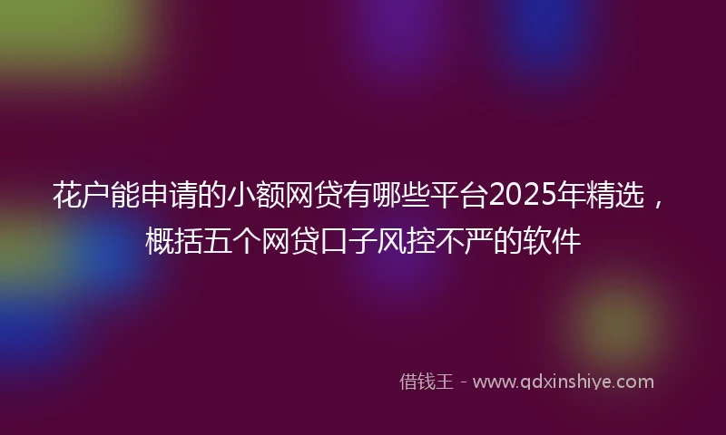 花户能申请的小额网贷有哪些平台2025年精选，概括五个网贷口子风控不严的软件