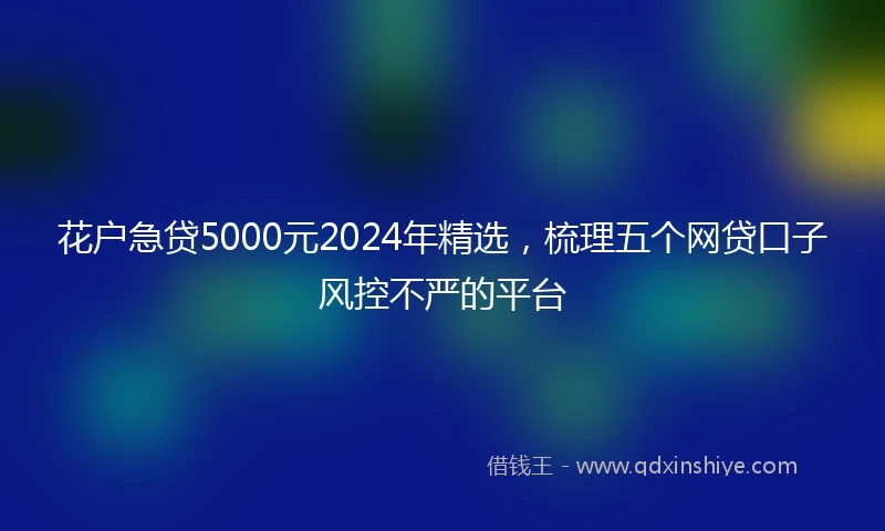 花户急贷5000元2024年精选，梳理五个网贷口子风控不严的平台