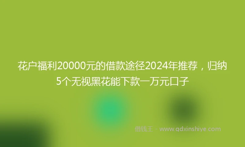 花户福利20000元的借款途径2024年推荐，归纳5个无视黑花能下款一万元口子