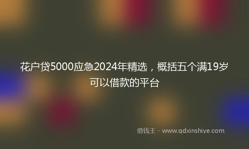 花户贷5000应急2024年精选，概括五个满19岁可以借款的平台