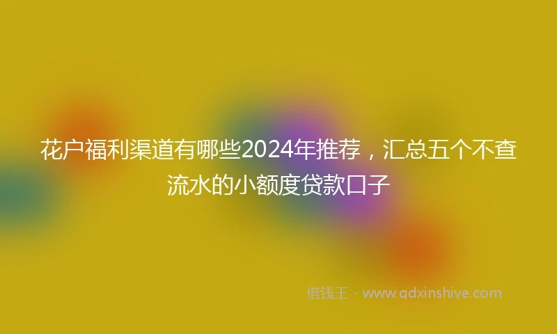 花户福利渠道有哪些2024年推荐，汇总五个不查流水的小额度贷款口子