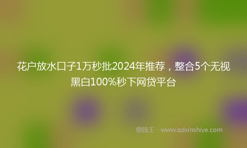 花户放水口子1万秒批2024年推荐，整合5个无视黑白100%秒下网贷平台