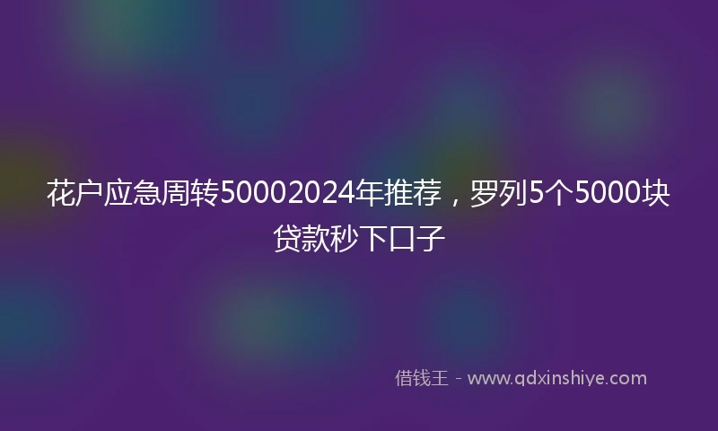 花户应急周转50002024年推荐，罗列5个5000块贷款秒下口子