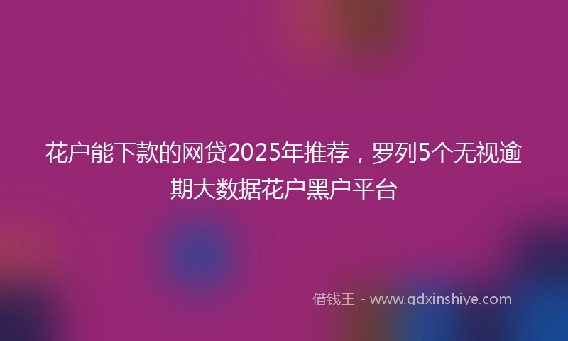 花户能下款的网贷2025年推荐，罗列5个无视逾期大数据花户黑户平台