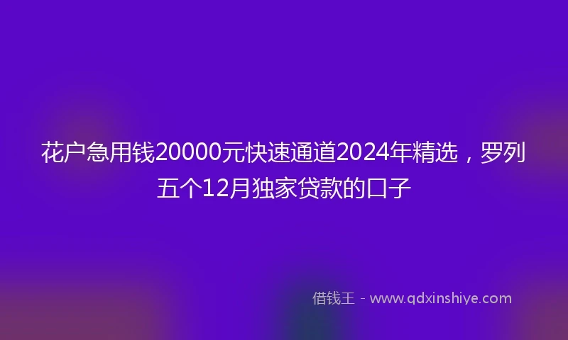 花户急用钱20000元快速通道2024年精选，罗列五个12月独家贷款的口子