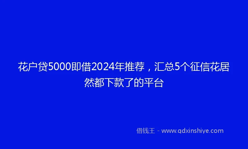 花户贷5000即借2024年推荐，汇总5个征信花居然都下款了的平台