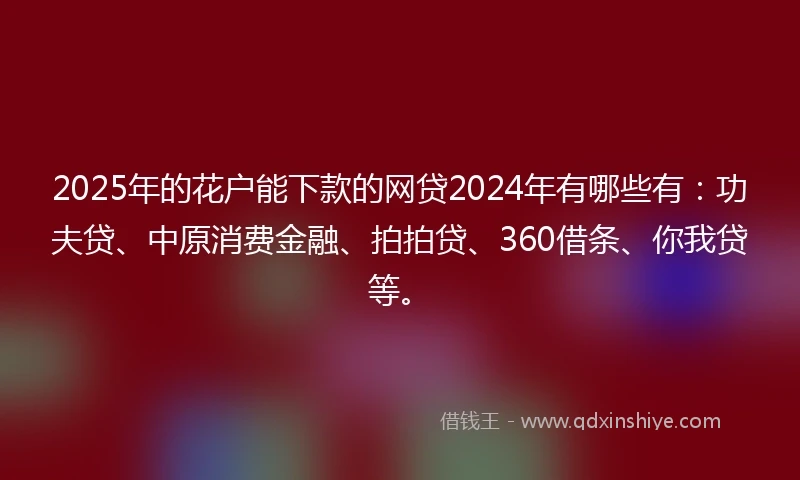 2025年的花户能下款的网贷2024年有哪些有：功夫贷、中原消费金融、拍拍贷、360借条、你我贷等。