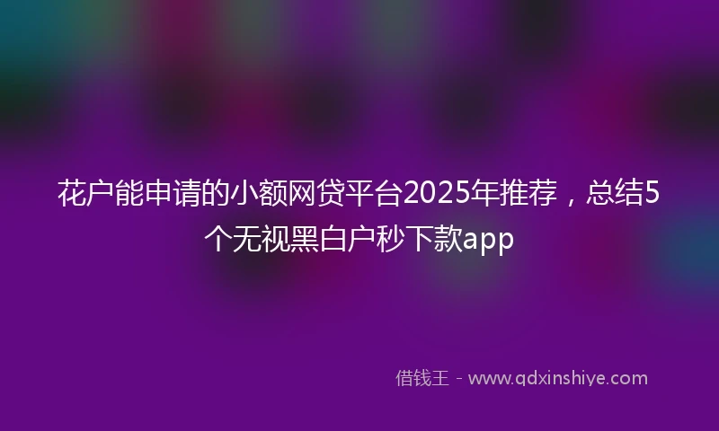花户能申请的小额网贷平台2025年推荐，总结5个无视黑白户秒下款app
