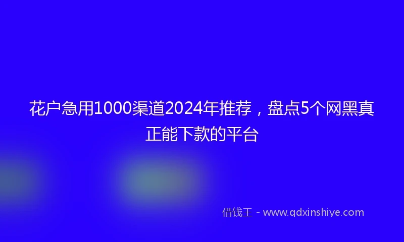 花户急用1000渠道2024年推荐，盘点5个网黑真正能下款的平台