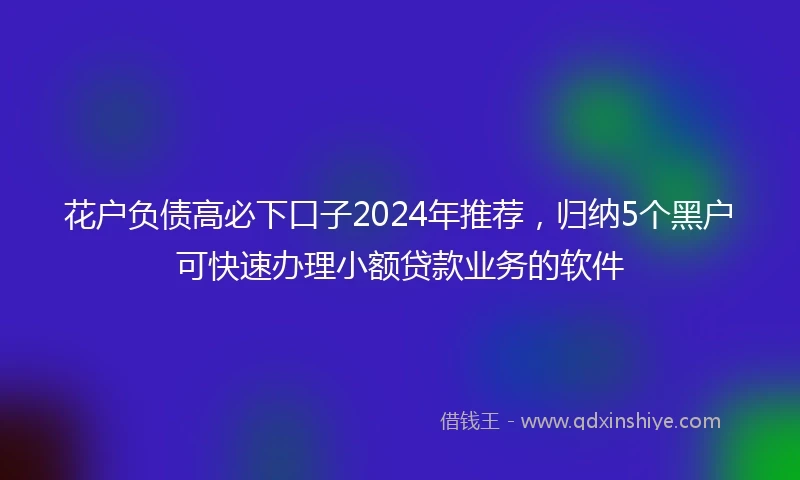 花户负债高必下口子2024年推荐，归纳5个黑户可快速办理小额贷款业务的软件