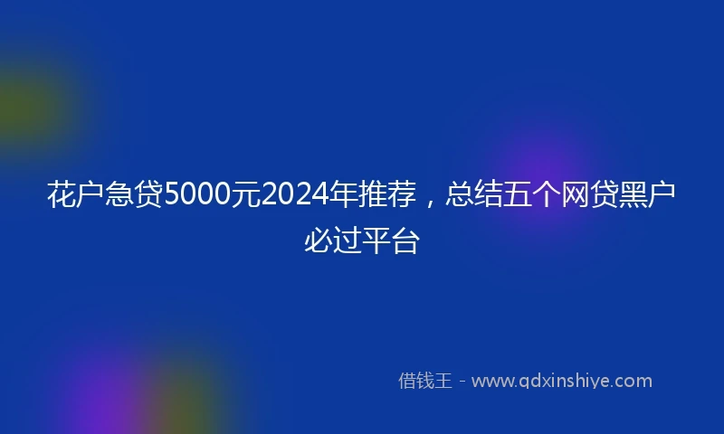花户急贷5000元2024年推荐，总结五个网贷黑户必过平台