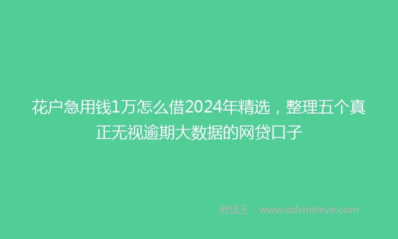 花户急用钱1万怎么借2024年精选,整理五个真正无视逾期大数据的网贷口子