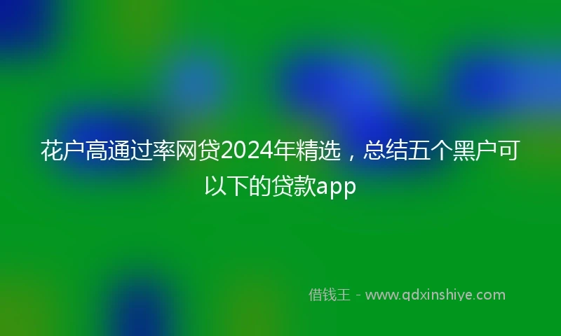 花户高通过率网贷2024年精选，总结五个黑户可以下的贷款app