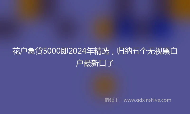 花户急贷5000即2024年精选，归纳五个无视黑白户最新口子
