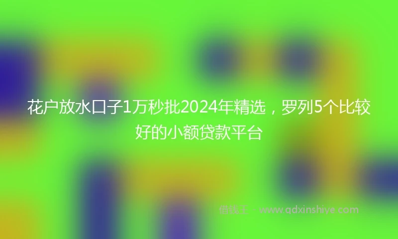 花户放水口子1万秒批2024年精选，罗列5个比较好的小额贷款平台