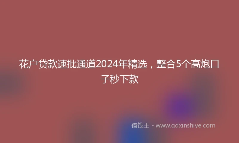 花户贷款速批通道2024年精选，整合5个高炮口子秒下款