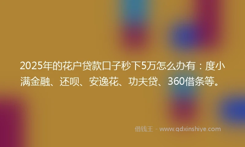 2025年的花户贷款口子秒下5万怎么办有：度小满金融、还呗、安逸花、功夫贷、360借条等。