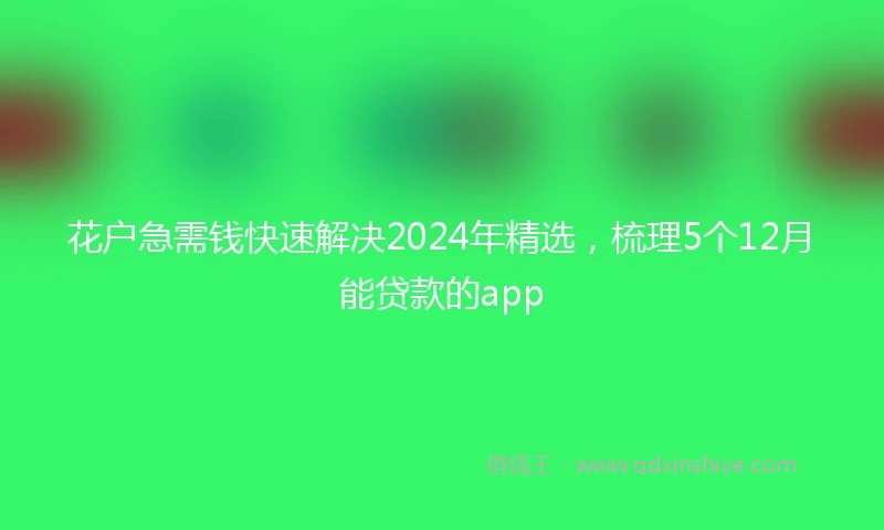 花户急需钱快速解决2024年精选，梳理5个12月能贷款的app