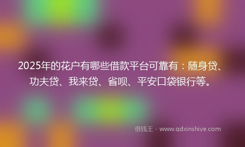 2025年的花户有哪些借款平台可靠有：随身贷、功夫贷、我来贷、省呗、平安口袋银行等。