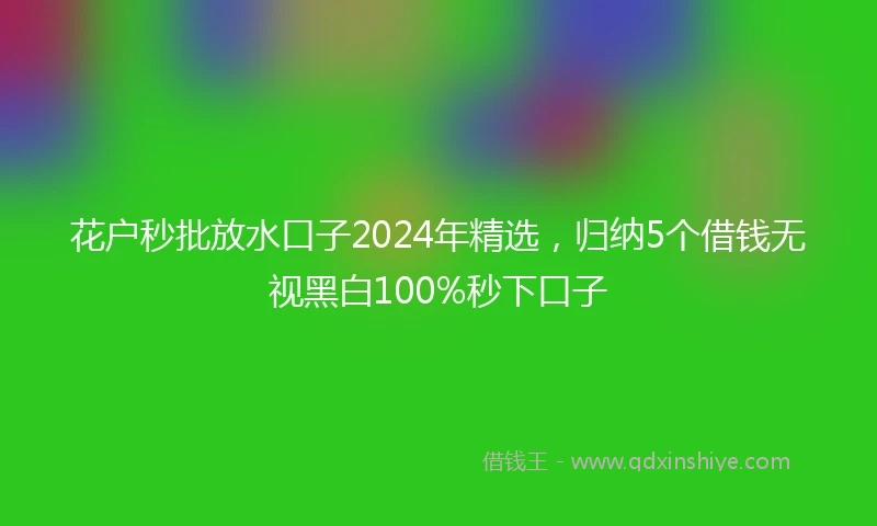 花户秒批放水口子2024年精选，归纳5个借钱无视黑白100%秒下口子