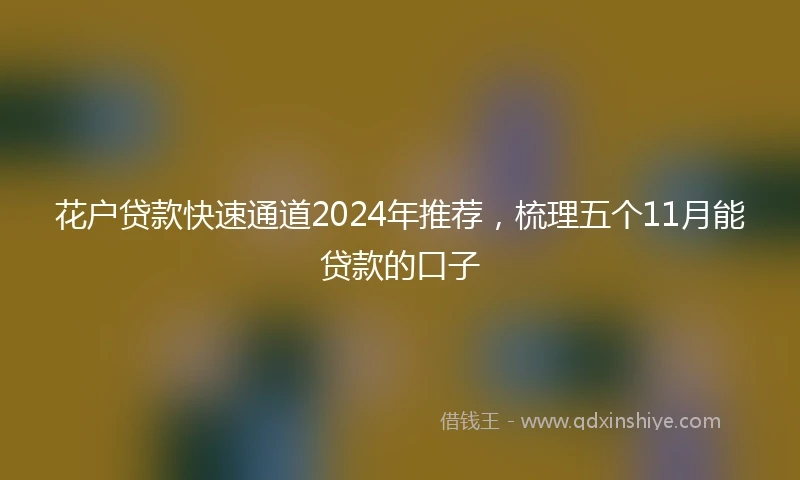 花户贷款快速通道2024年推荐，梳理五个11月能贷款的口子
