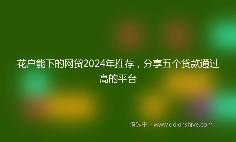 花户能下的网贷2024年推荐，分享五个贷款通过高的平台