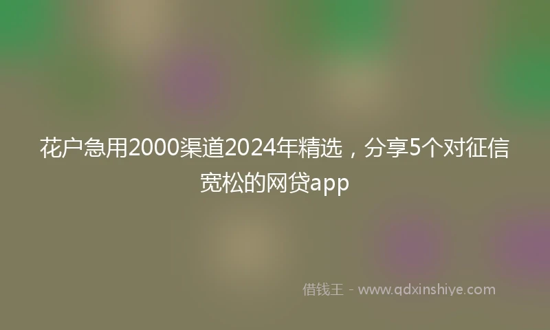 花户急用2000渠道2024年精选，分享5个对征信宽松的网贷app