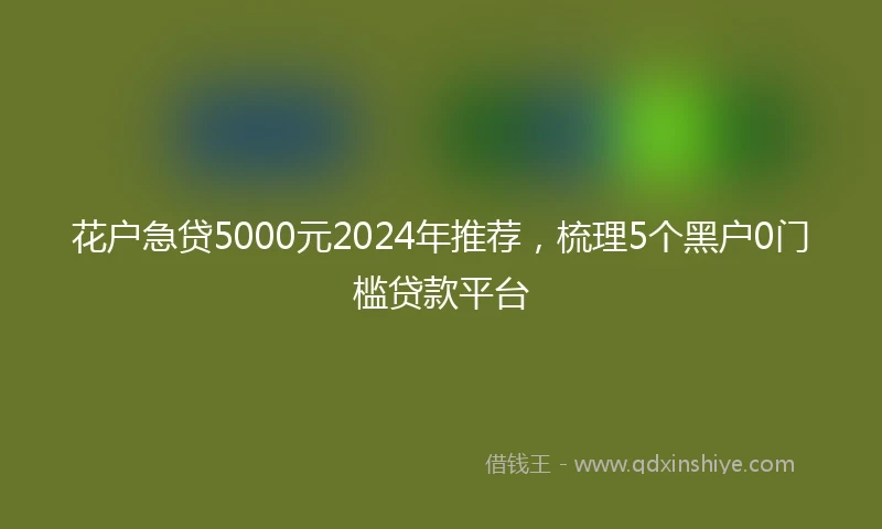 花户急贷5000元2024年推荐，梳理5个黑户0门槛贷款平台