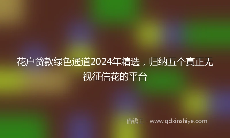 花户贷款绿色通道2024年精选，归纳五个真正无视征信花的平台